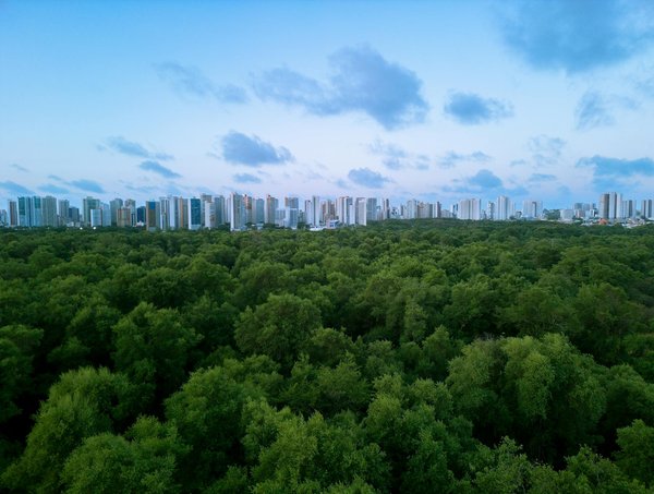 Actualités digitale : les tendances geek à ne pas manquer